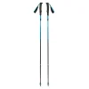 Black Diamond Distance Carbon Z Trekking Poles