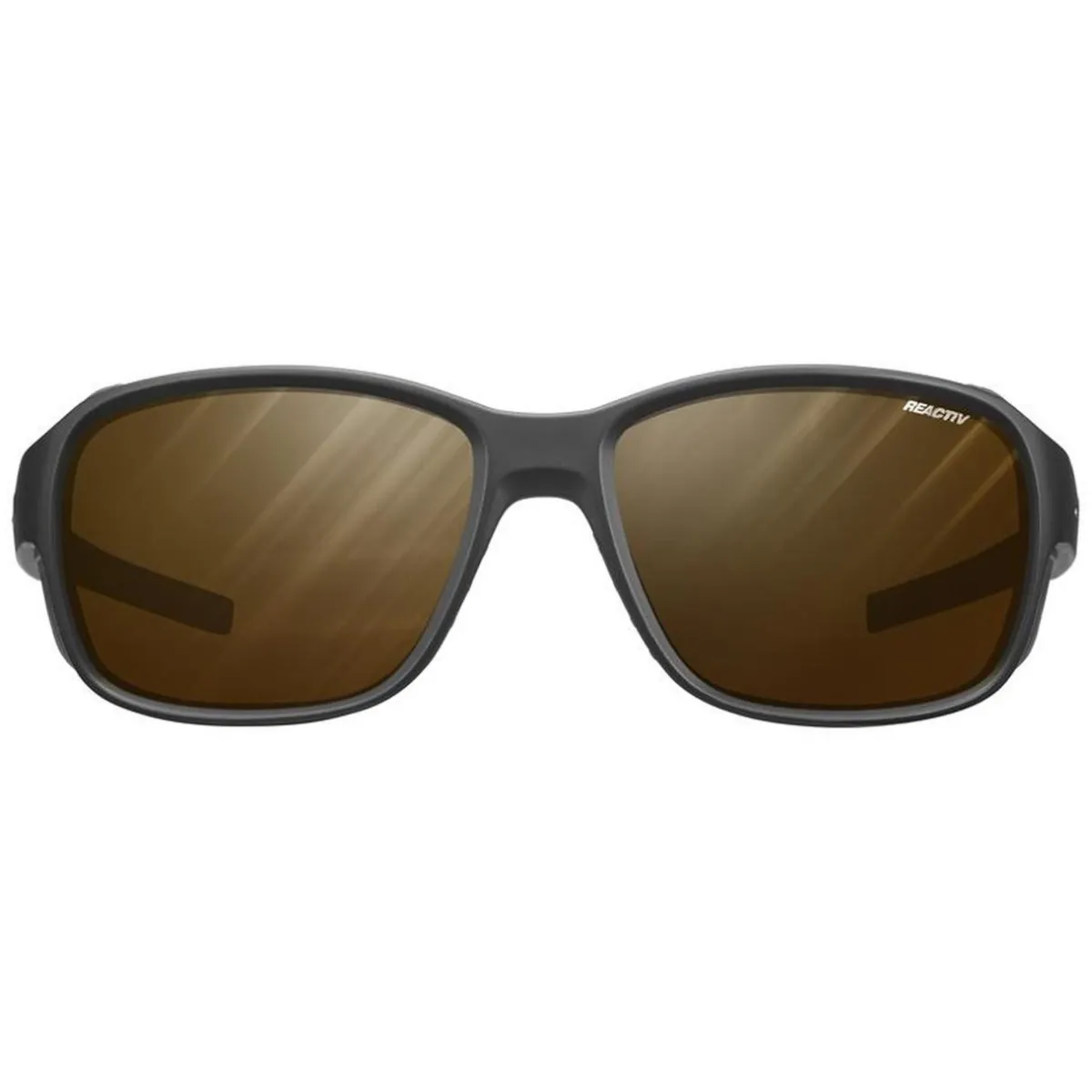 Julbo Montebianco 2 Reactiv 2-4 Polarized Sunglasses
