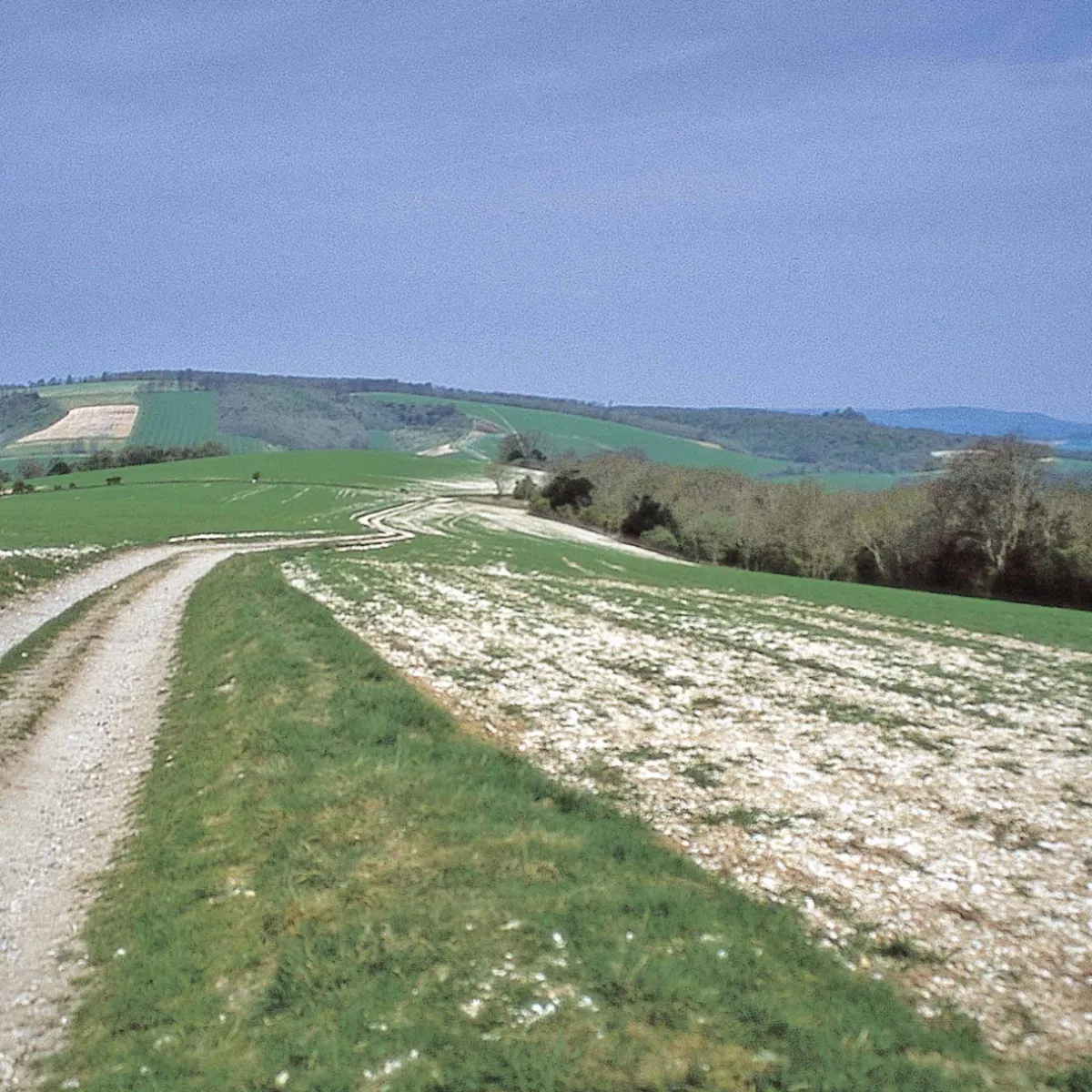 Harvey Maps The South Downs Way 2024
