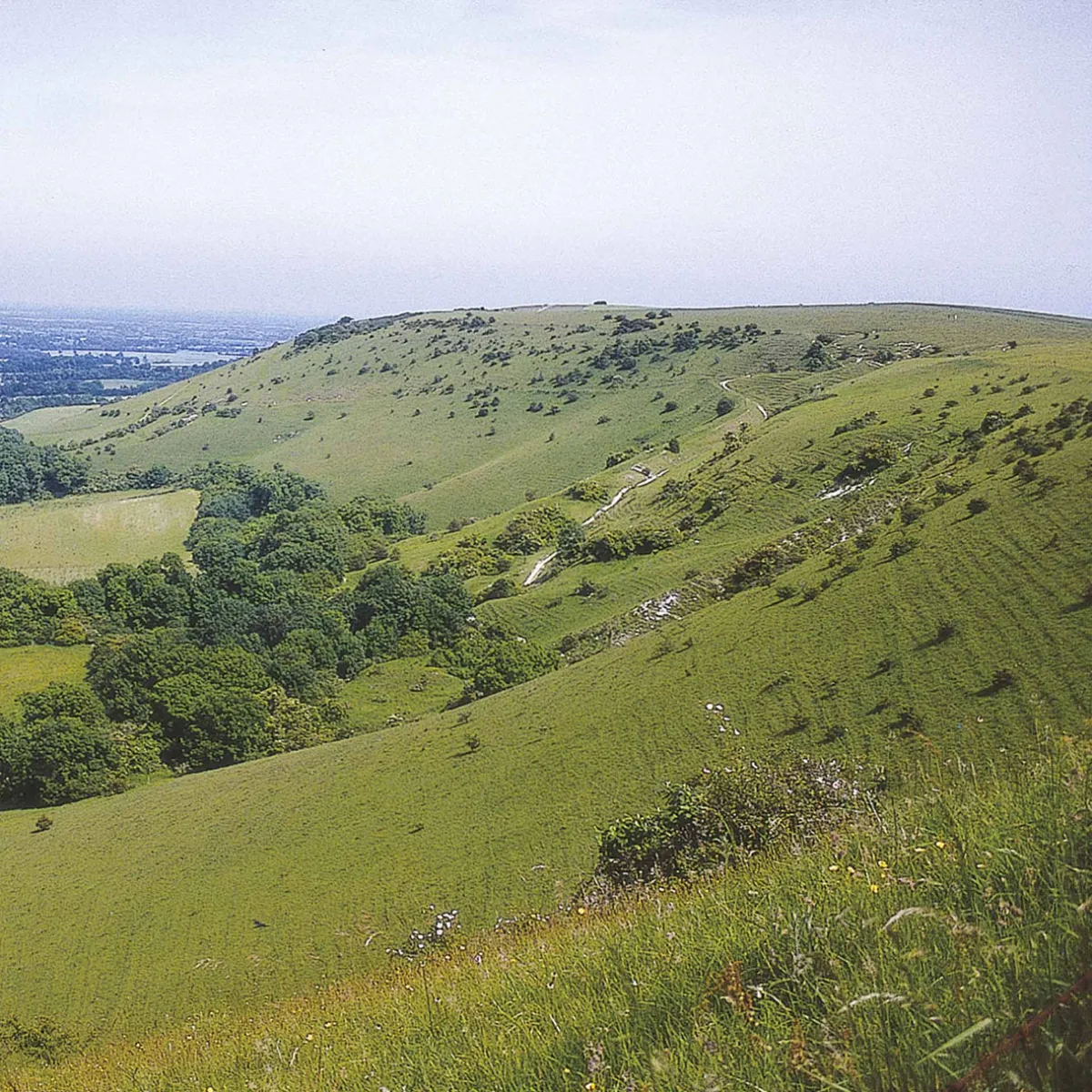 Harvey Maps The South Downs Way 2024